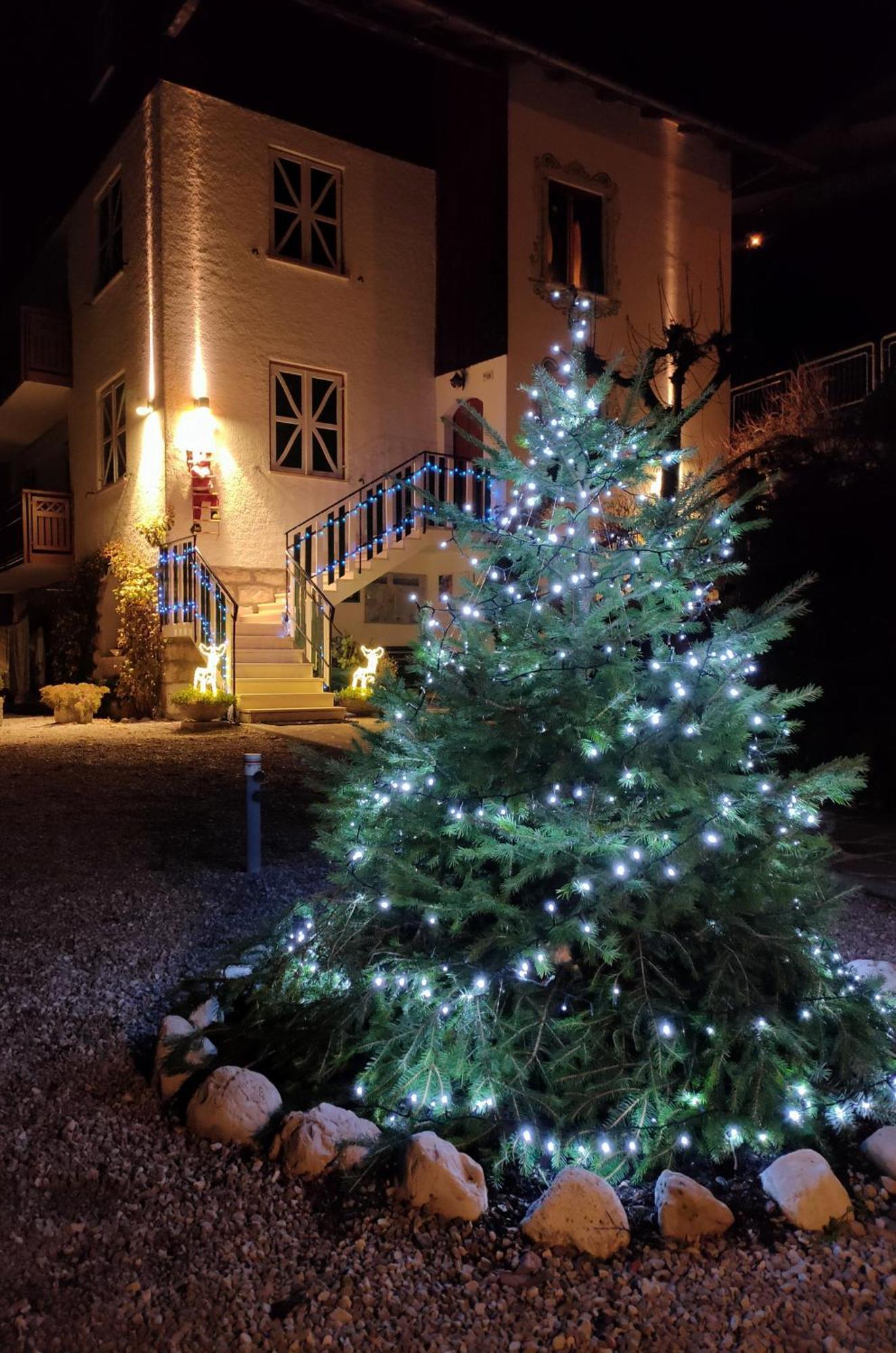 Villa Aprica Appartamenti Molveno Exterior photo